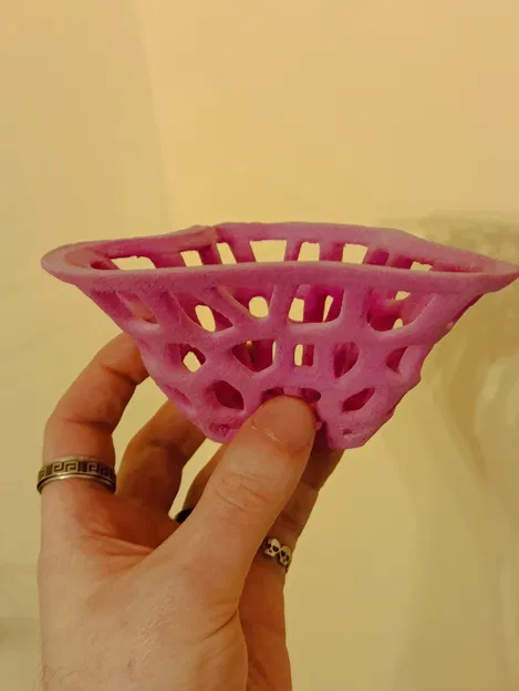 Bình hoa Voronoi kèm insert chống thấm nước - Image 4