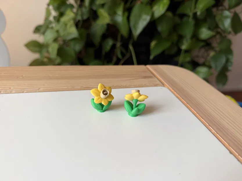 Narcissus – Mẫu hoa thủy tiên mùa xuân (Colored) - Image 1