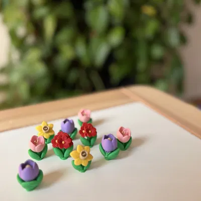 Primrose (Primula) – Mẫu hoa dại realistic có màu