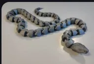 Rắn cử động (Moveable snake) - Image 1