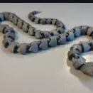 Rắn cử động (Moveable snake)