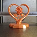 Rose in Heart – Hoa hồng trong khung trái tim - Thumbnail 2