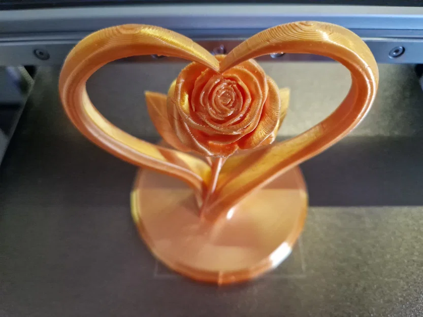 Rose in Heart – Hoa hồng trong khung trái tim - Image 3