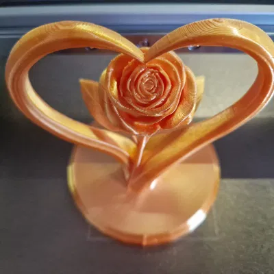 Rose in Heart – Hoa hồng trong khung trái tim