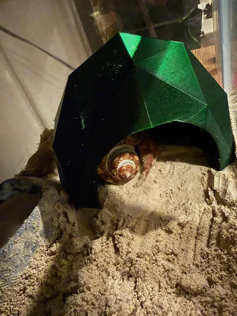 Hang cho cua ẩn sĩ (Hermit Crab Cave) - Image 1