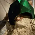 Hang cho cua ẩn sĩ (Hermit Crab Cave) - Thumbnail 1