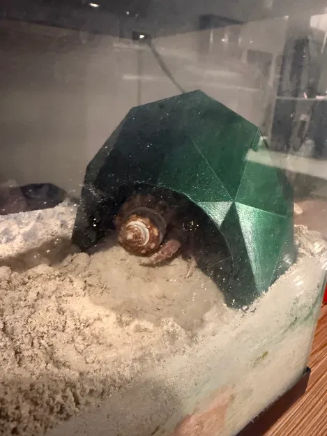 Hang cho cua ẩn sĩ (Hermit Crab Cave) - Image 2