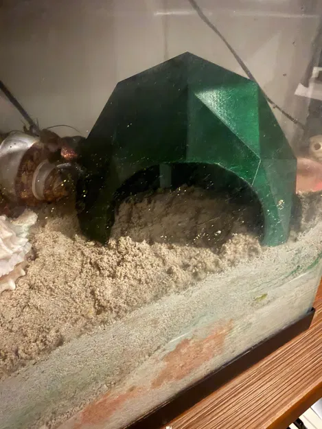 Hang cho cua ẩn sĩ (Hermit Crab Cave) - Image 3