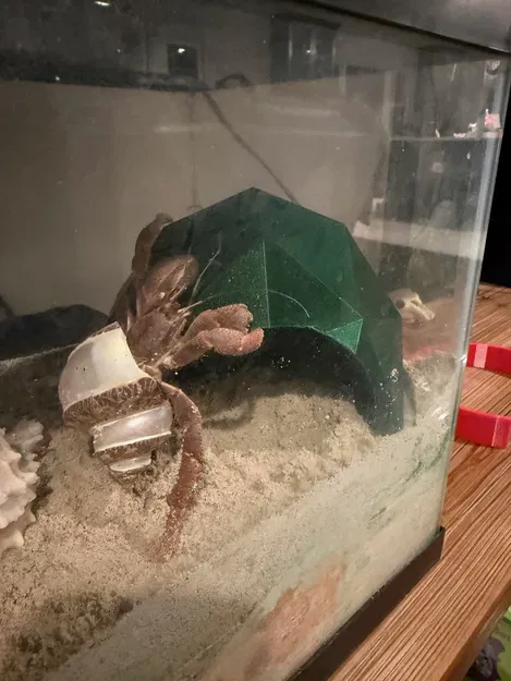 Hang cho cua ẩn sĩ (Hermit Crab Cave) - Image 4