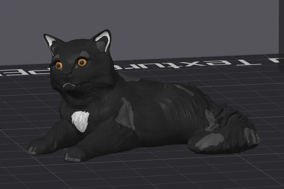 Bé mèo cứng đầu tên Waffle - Image 1