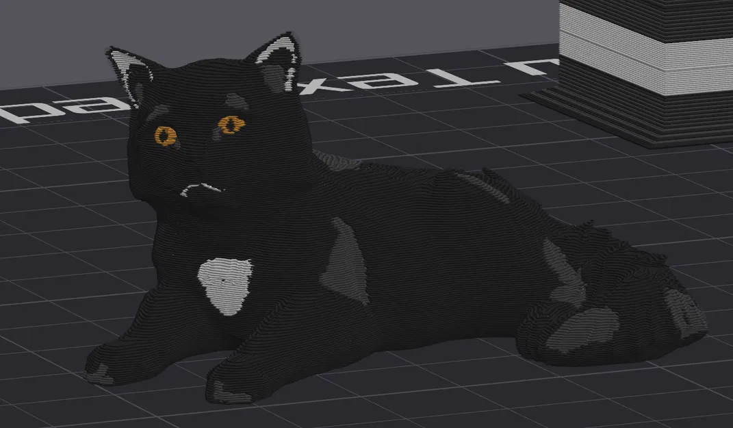 Bé mèo cứng đầu tên Waffle - Image 3