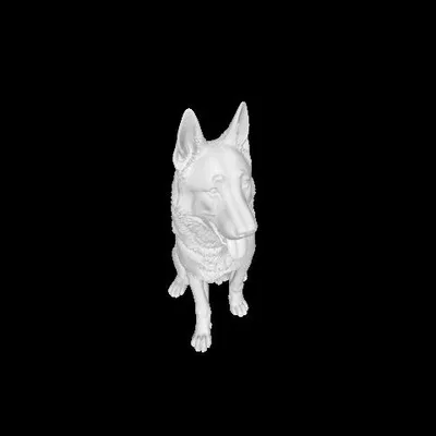 Chó chăn cừu Đức 1 (Deutscher Schäferhund 1)