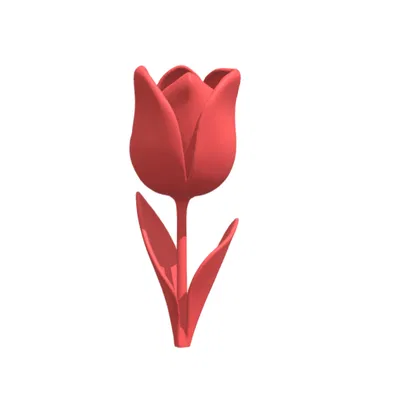 Decoration (Trang trí)