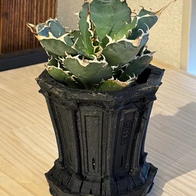 KOKUDŌ - Chậu KOKUDŌ Tàn Tích Gothic (Support Free)