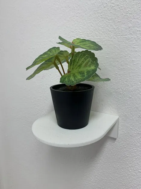 Kệ treo tường với hệ bắt ẩn - Image 1