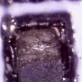 Chân Đế USB Microscope (Chỉnh Cao Dọc) - Thumbnail 7