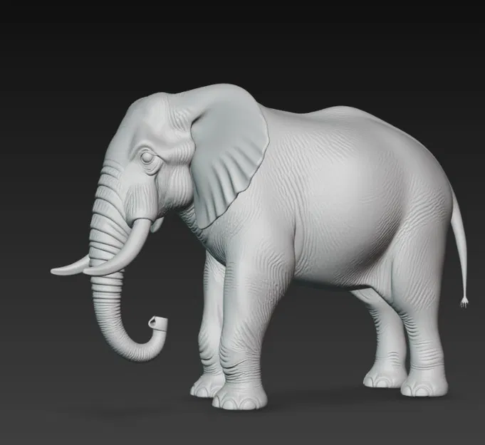 Voi (Elephant) – Mô hình 3D - Image 2