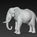 Voi (Elephant) – Mô hình 3D - Thumbnail 2