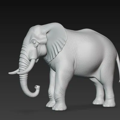 Voi (Elephant) – Mô hình 3D