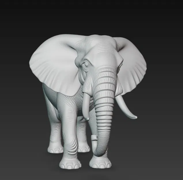 Voi (Elephant) – Mô hình 3D - Image 3