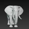 Voi (Elephant) – Mô hình 3D - Thumbnail 3