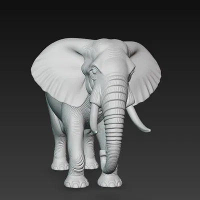 Voi (Elephant) – Mô hình 3D