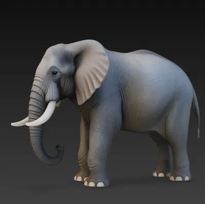 Voi (Elephant) – Mô hình 3D