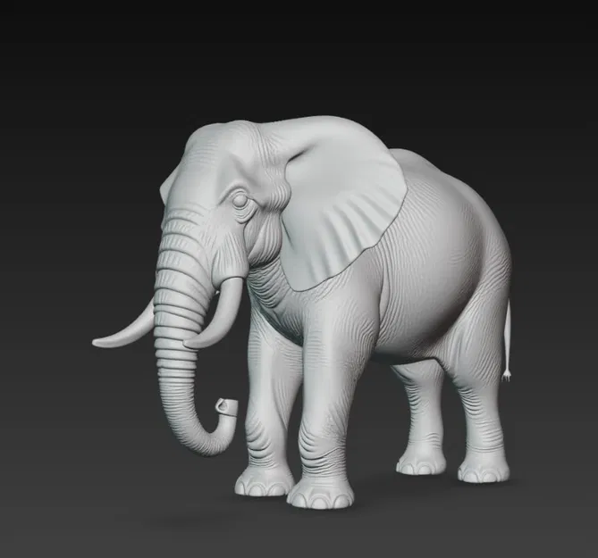 Voi (Elephant) – Mô hình 3D - Image 5