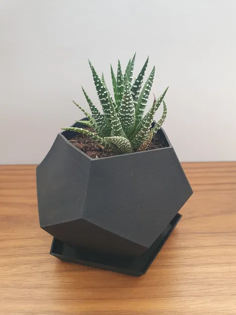 Chậu cây Polygon - Image 1