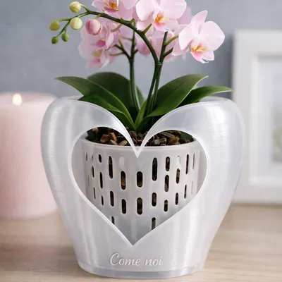 Chậu đỡ lan cho dịp Valentine