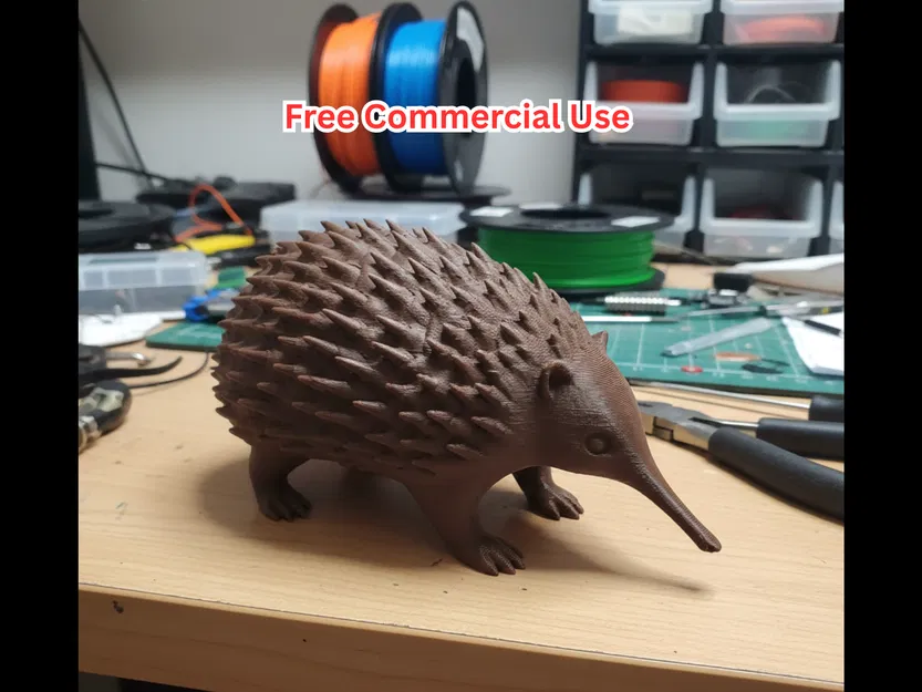 Tượng Echidna – Động vật bản địa Úc - Image 1