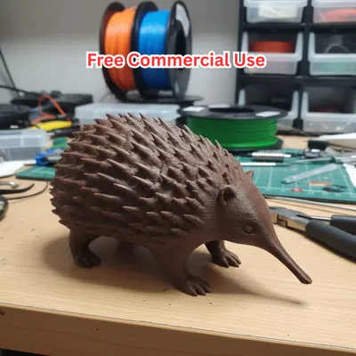 Tượng Echidna – Động vật bản địa Úc