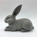 Thỏ Nằm (Lay-Down Rabbit) - Thumbnail 1