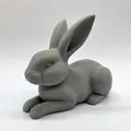 Thỏ Nằm (Lay-Down Rabbit) - Thumbnail 5