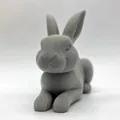 Thỏ Nằm (Lay-Down Rabbit) - Thumbnail 6