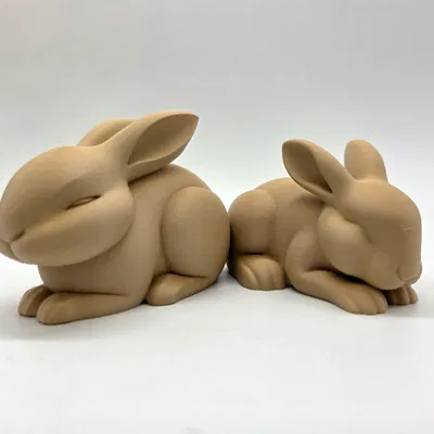 2 Chú Thỏ Ngủ Gật Dễ Thương