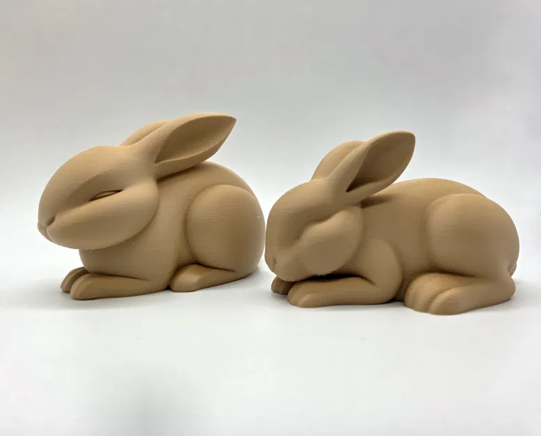 2 Chú Thỏ Ngủ Gật Dễ Thương - Image 3