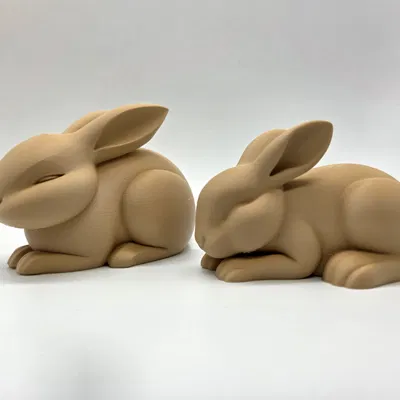 2 Chú Thỏ Ngủ Gật Dễ Thương