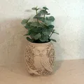 Owl Decor Vase – Bình Hoa Trang Trí Cú Mèo - Thumbnail 1
