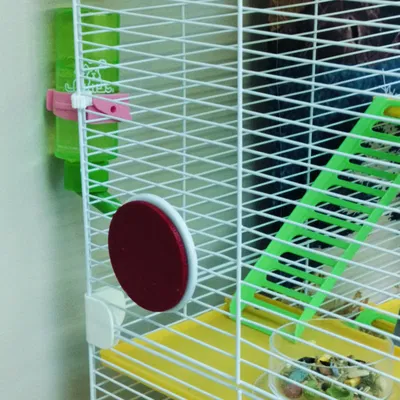 Nắp Che Lỗ Cổng Lồng Thú Cưng (Pet Cage Port Hole Cover)