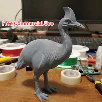 Tượng Chim Cassowary Bán Thực (Semi-Realistic Cassowary Statue)