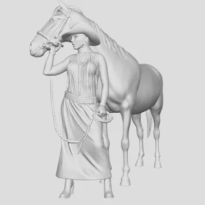 Cô cao bồi cùng ngựa