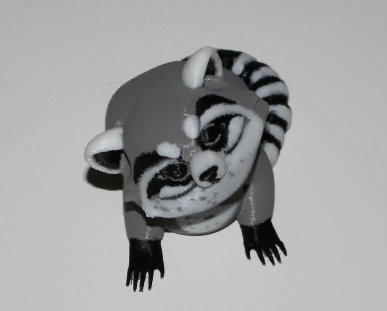 Raccoon / Waschbär (Tối ưu in 4 màu) - Image 2