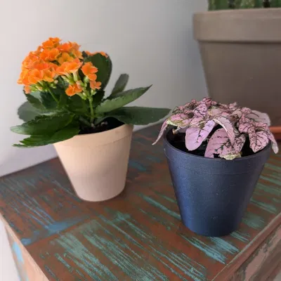 Chậu cây hình học tối giản – 60x90x90 mm