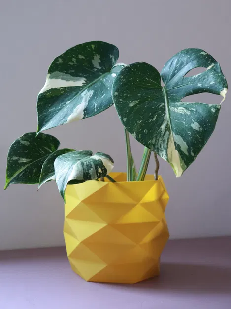 Chậu Cây Đa Giác Geometric Ø 16 cm - Image 1