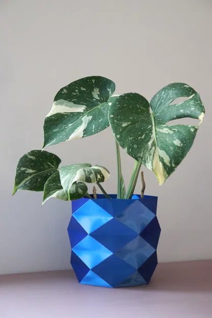 Chậu Cây Đa Giác Geometric Ø 16 cm - Image 2