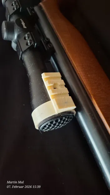 Picantini trên ZF (Vòng) - Image 1