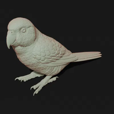 Tượng Kakariki (Kakariki Sculpture)