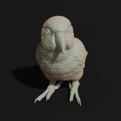 Tượng Kakariki (Kakariki Sculpture)