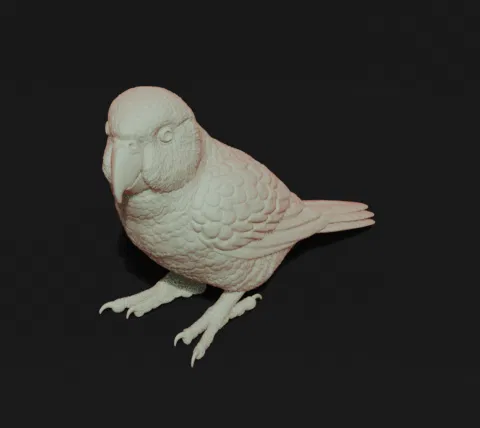 Tượng Kakariki (Kakariki Sculpture) - Image 5